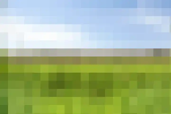 Seggegors 27 Zuid-Beijerland thumbnail 31