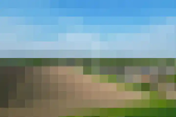 Seggegors 27 Zuid-Beijerland thumbnail 32