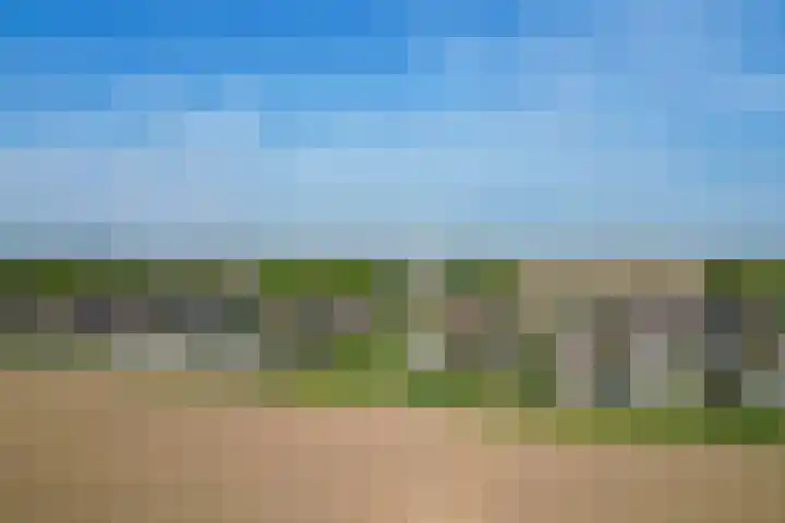 Seggegors 27 Zuid-Beijerland thumbnail 33