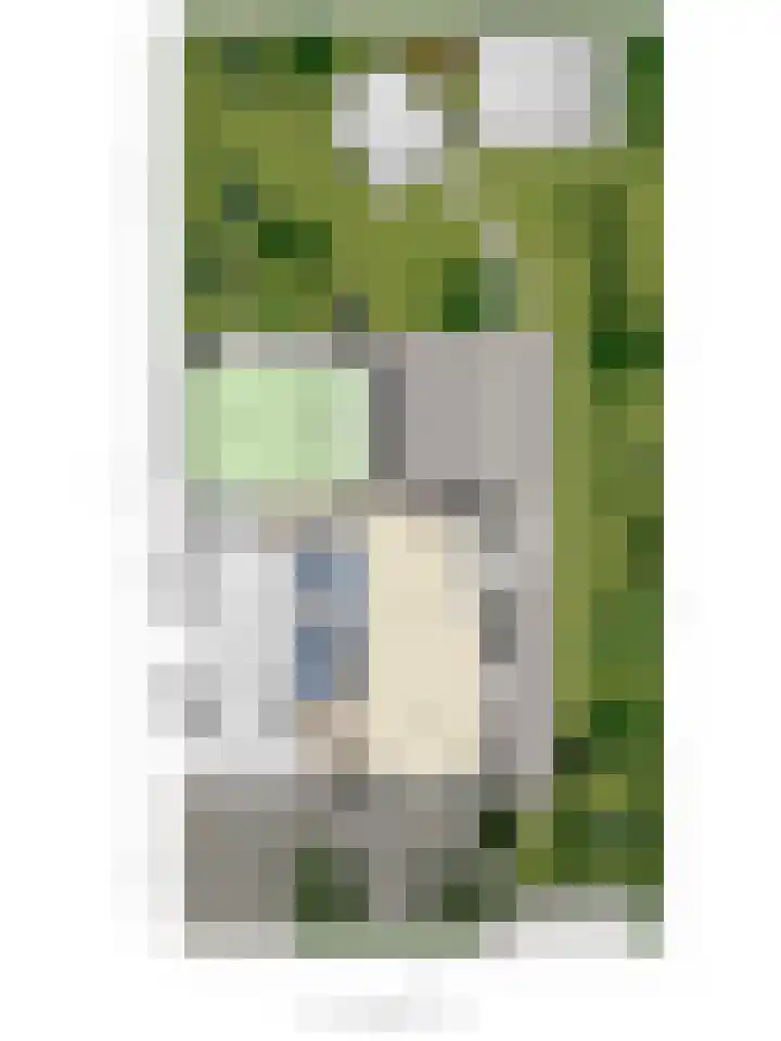 Seggegors 27 Zuid-Beijerland thumbnail 37
