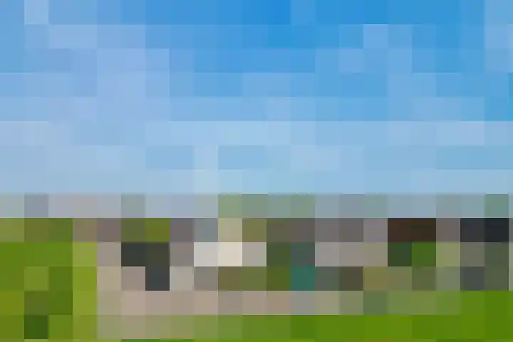Seggegors 27 Zuid-Beijerland thumbnail 4