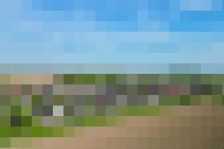 Seggegors 27 Zuid-Beijerland thumbnail 41