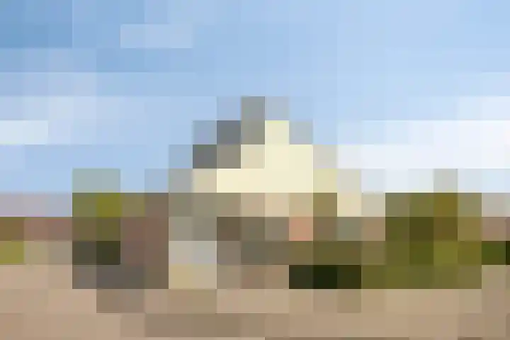 Seggegors 27 Zuid-Beijerland thumbnail 5