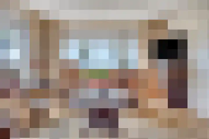 Seggegors 27 Zuid-Beijerland thumbnail 8