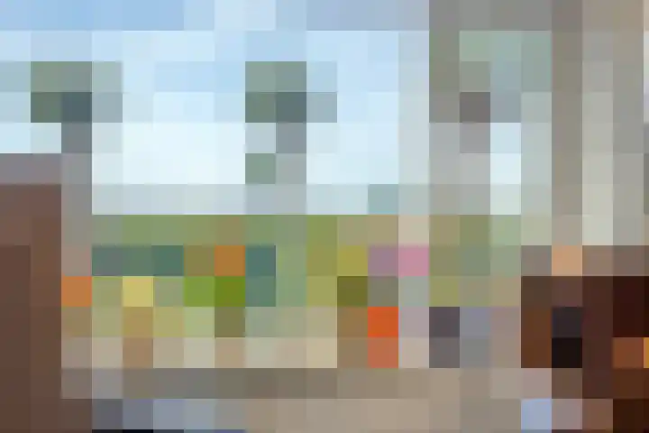 Seggegors 27 Zuid-Beijerland thumbnail 9