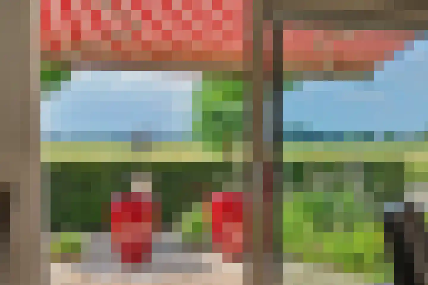 Seggegors 29 Zuid-Beijerland thumbnail 16