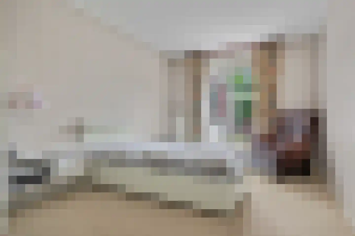 Seggegors 29 Zuid-Beijerland thumbnail 31