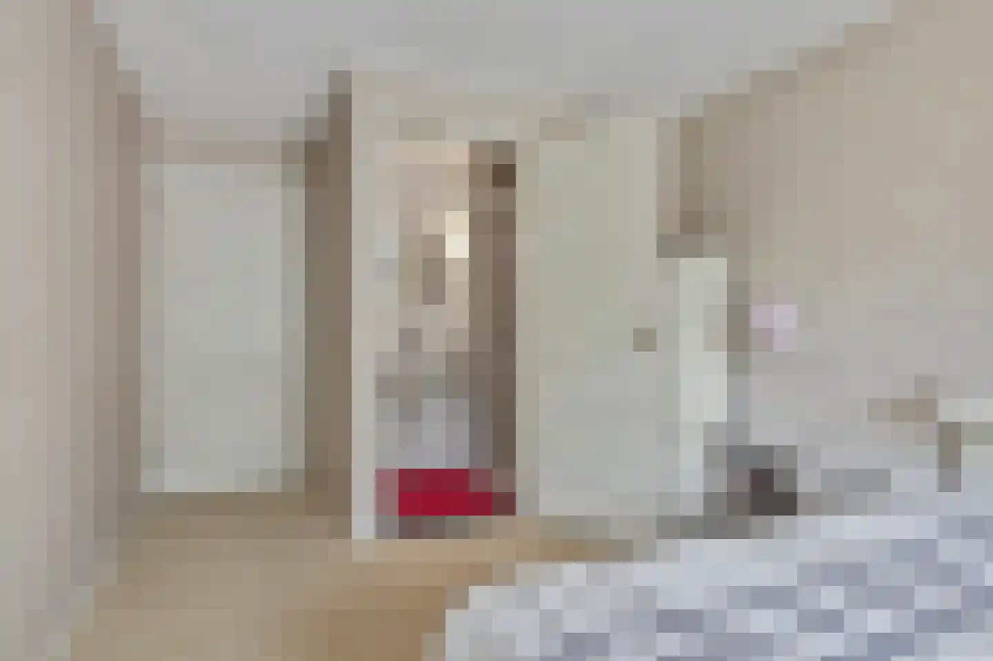 Seggegors 29 Zuid-Beijerland thumbnail 32