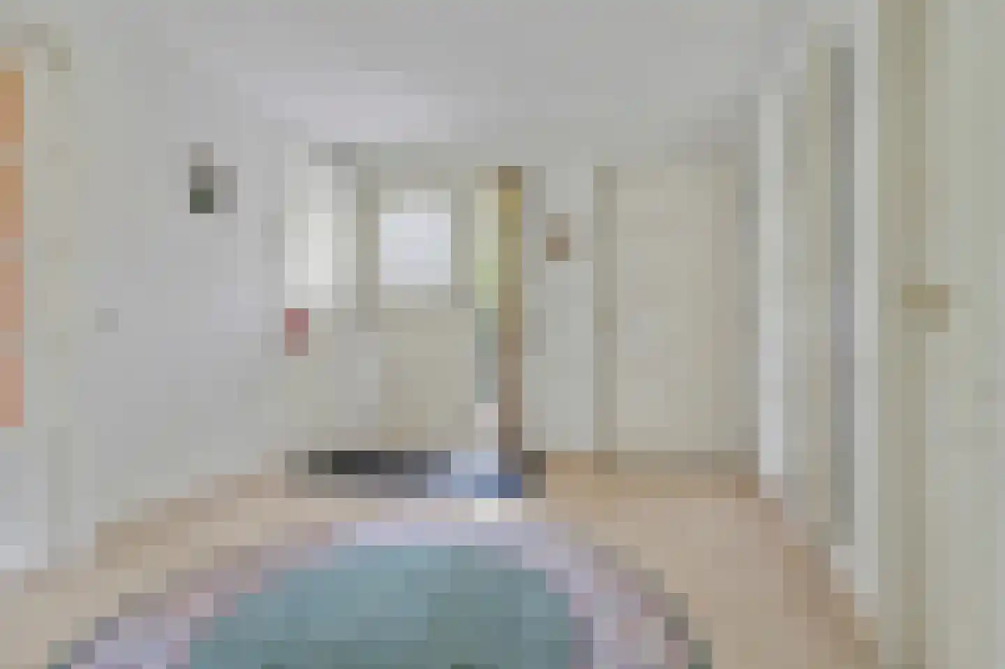 Seggegors 29 Zuid-Beijerland thumbnail 35