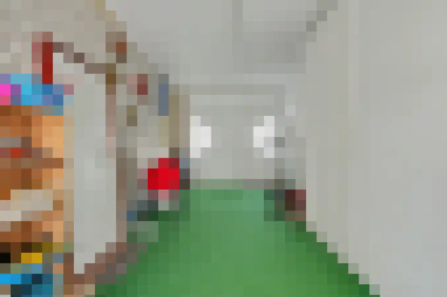 Seggegors 29 Zuid-Beijerland thumbnail 39