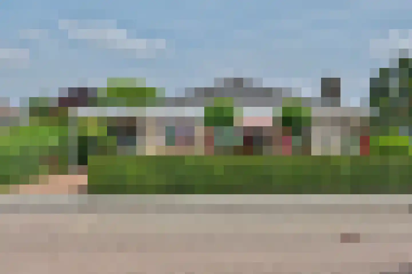 Seggegors 29 Zuid-Beijerland thumbnail 4