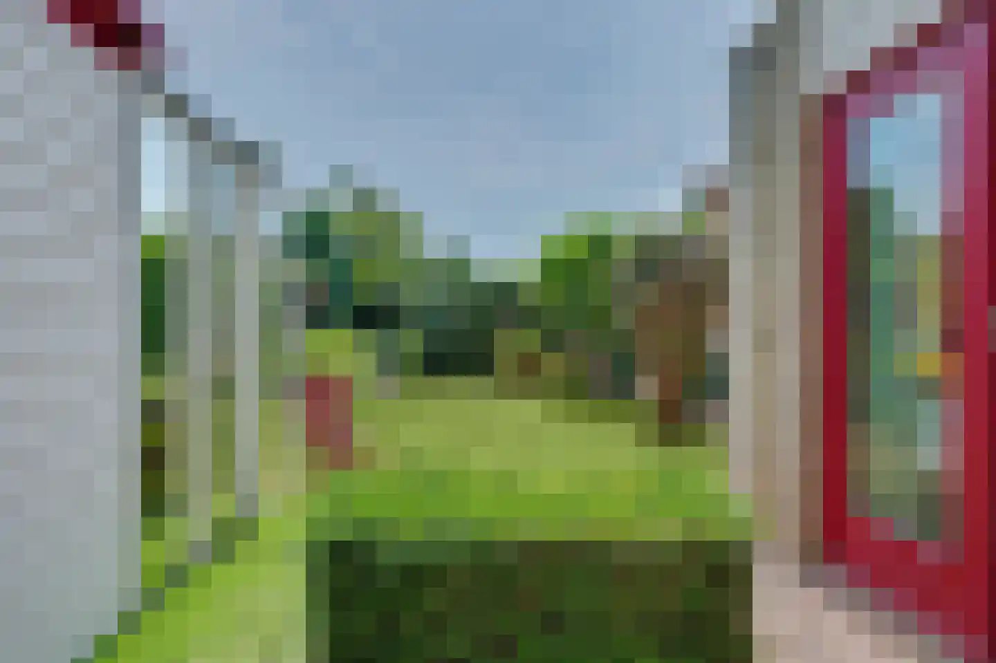Seggegors 29 Zuid-Beijerland thumbnail 41