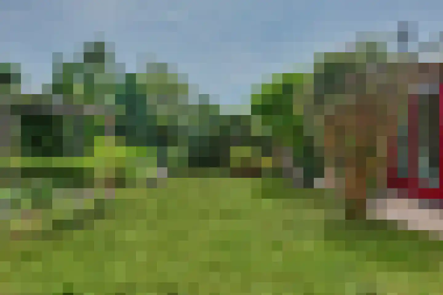 Seggegors 29 Zuid-Beijerland thumbnail 42