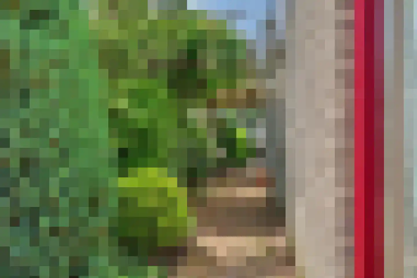 Seggegors 29 Zuid-Beijerland thumbnail 43