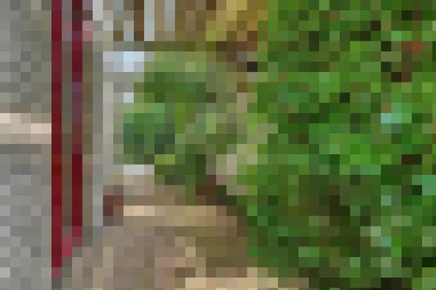 Seggegors 29 Zuid-Beijerland thumbnail 44