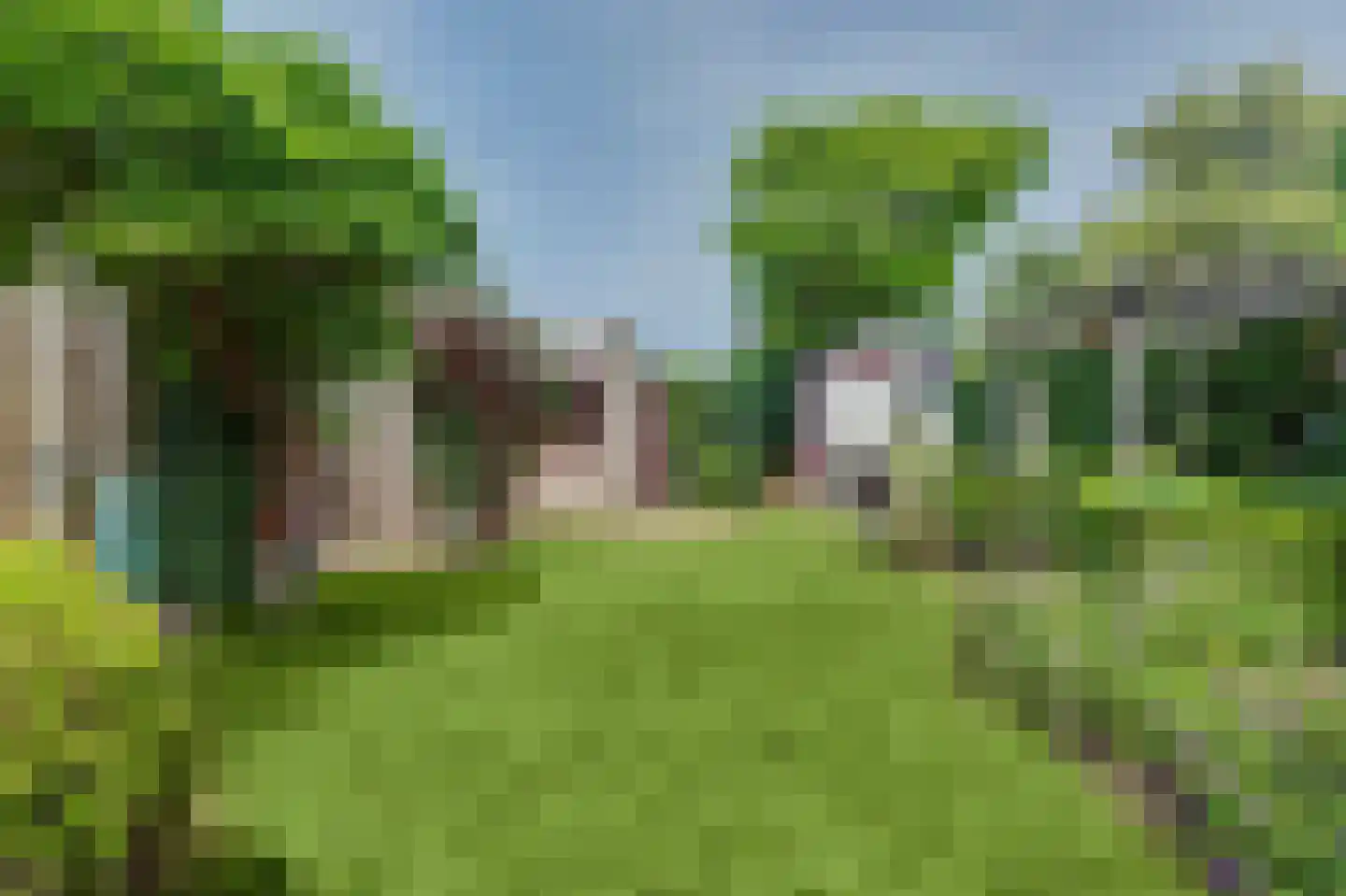 Seggegors 29 Zuid-Beijerland thumbnail 47