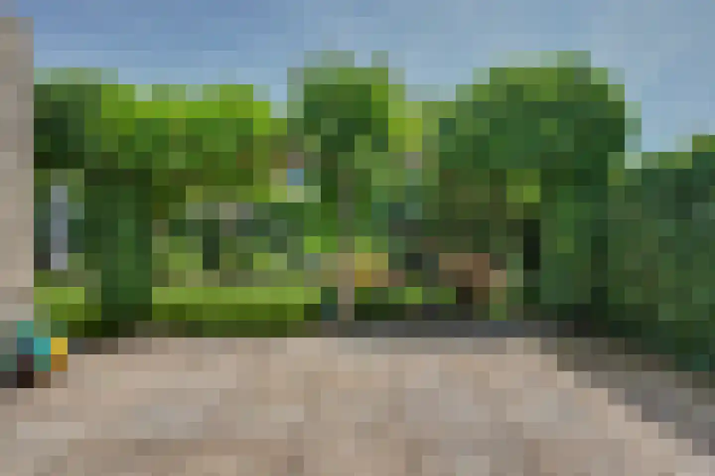 Seggegors 29 Zuid-Beijerland thumbnail 48