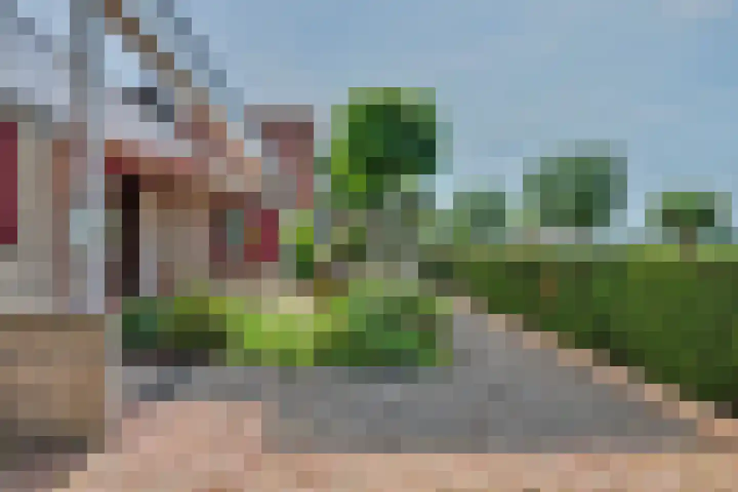 Seggegors 29 Zuid-Beijerland thumbnail 49