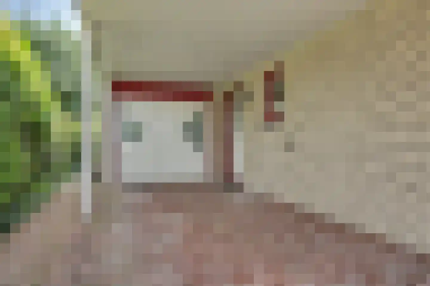 Seggegors 29 Zuid-Beijerland thumbnail 50