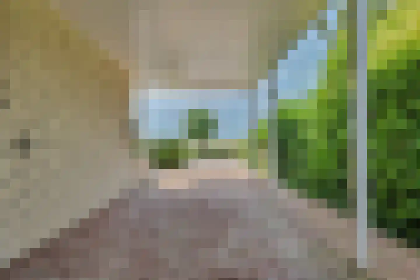 Seggegors 29 Zuid-Beijerland thumbnail 51