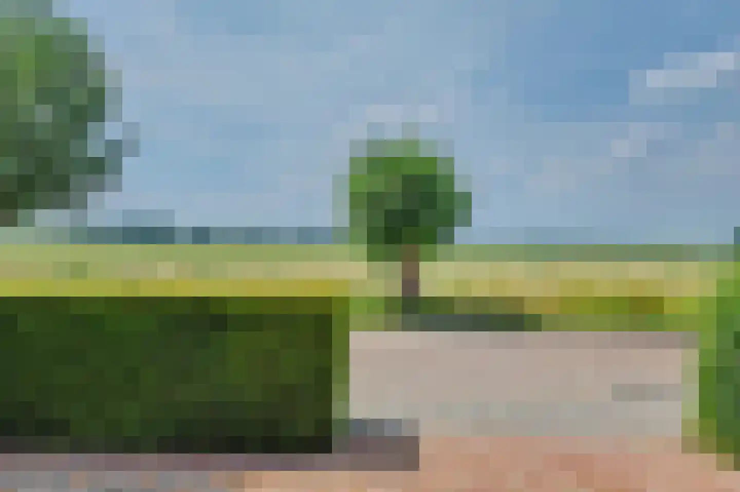 Seggegors 29 Zuid-Beijerland thumbnail 52