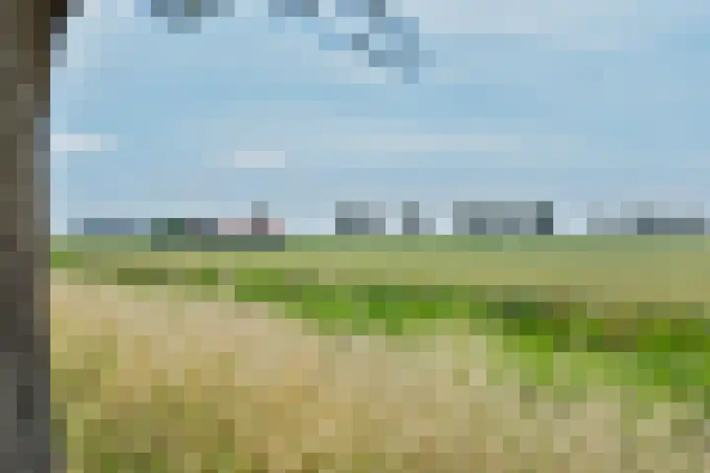 Seggegors 29 Zuid-Beijerland thumbnail 53
