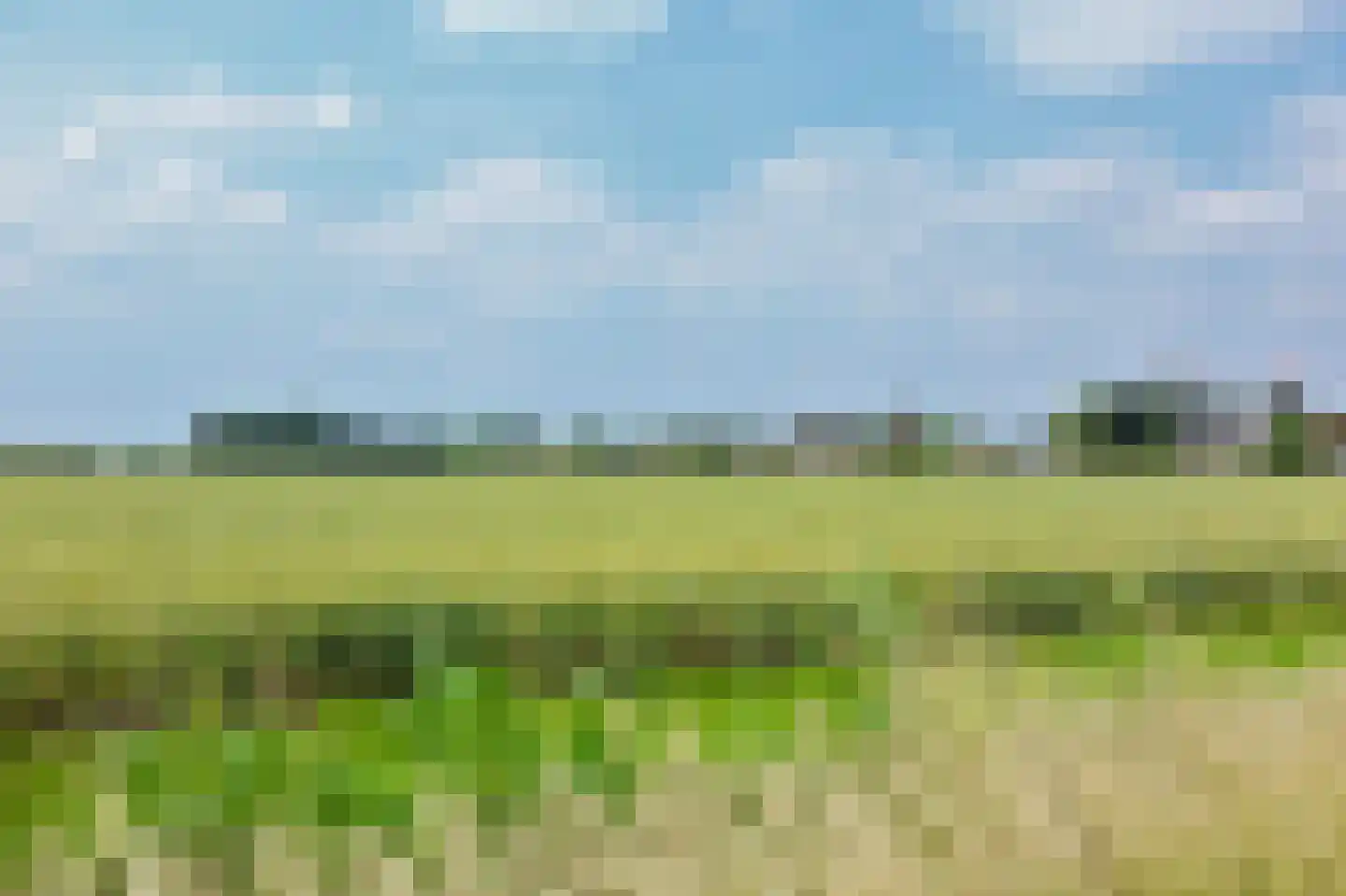 Seggegors 29 Zuid-Beijerland thumbnail 54