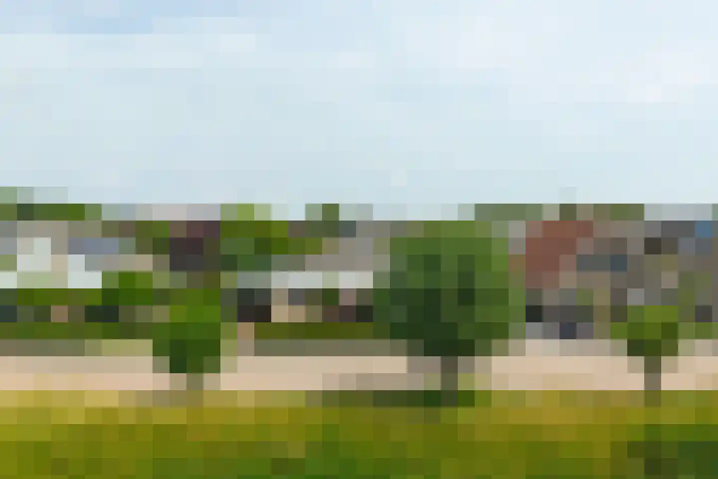 Seggegors 29 Zuid-Beijerland thumbnail 58