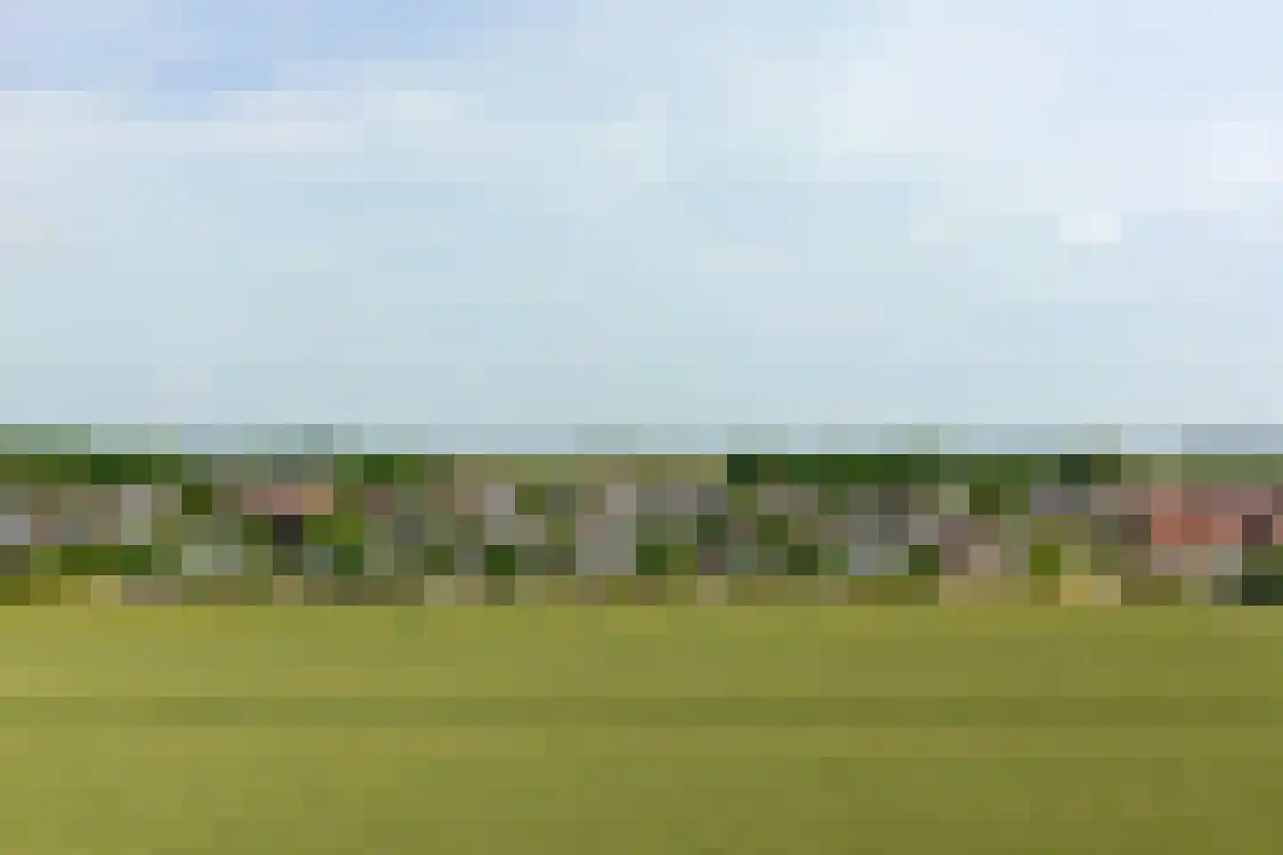 Seggegors 29 Zuid-Beijerland thumbnail 61