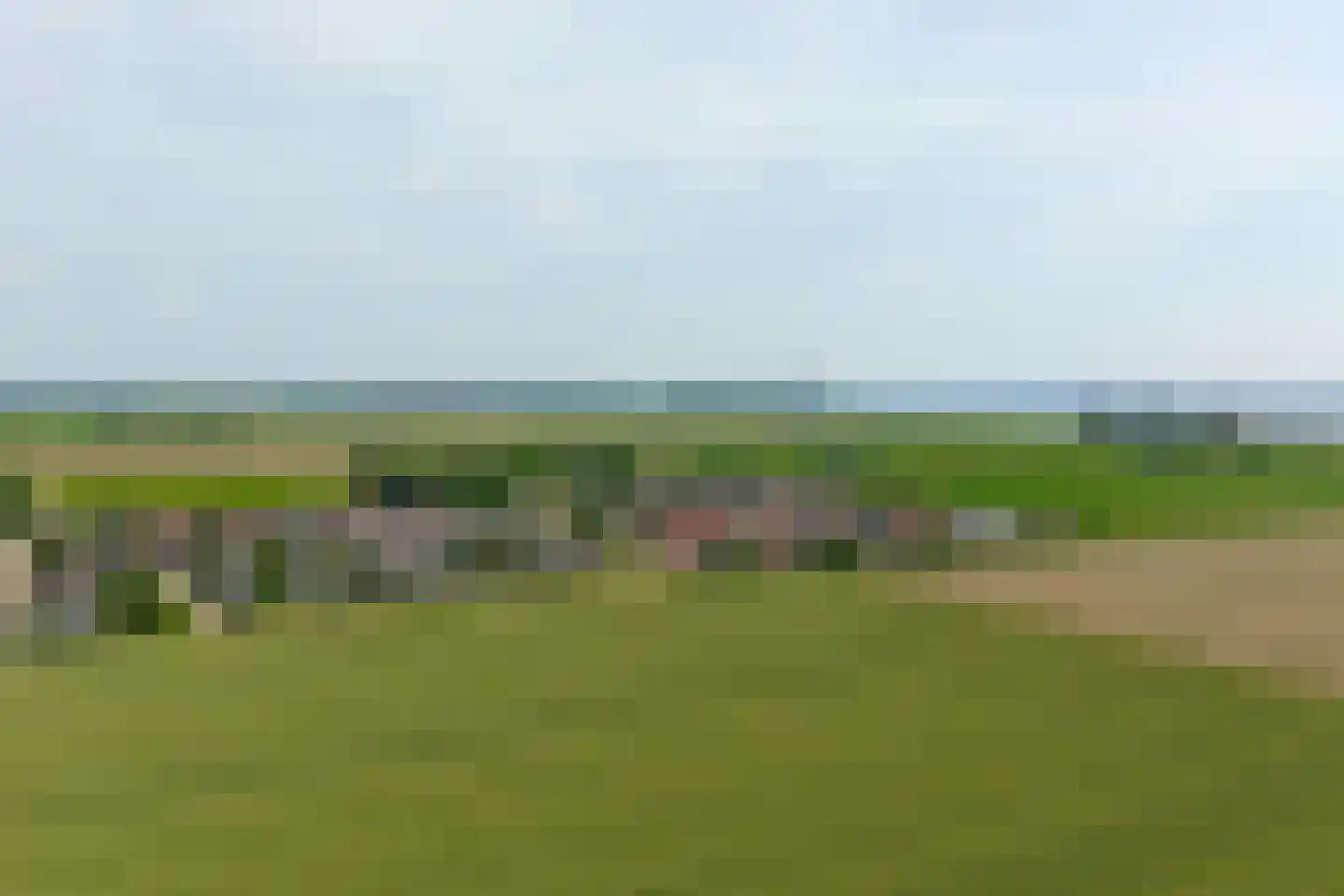 Seggegors 29 Zuid-Beijerland thumbnail 62