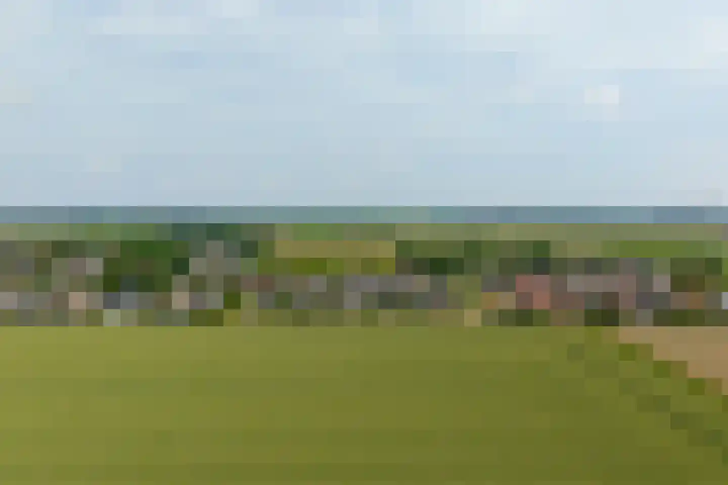 Seggegors 29 Zuid-Beijerland thumbnail 63