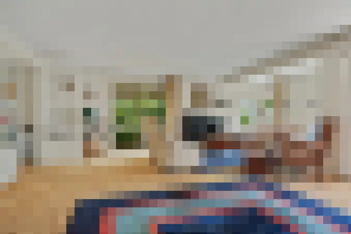 Seggegors 29 Zuid-Beijerland thumbnail 7