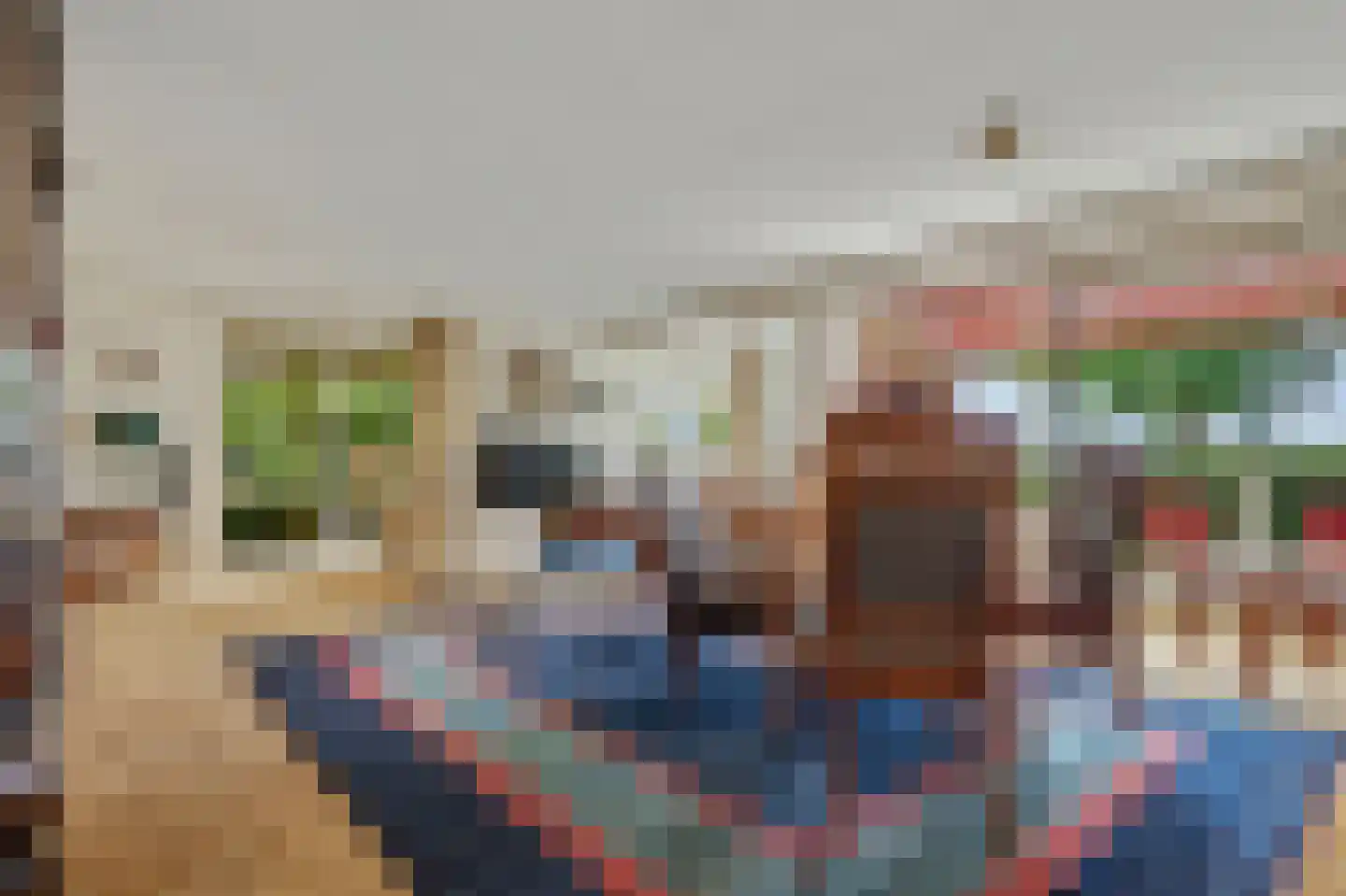 Seggegors 29 Zuid-Beijerland thumbnail 8
