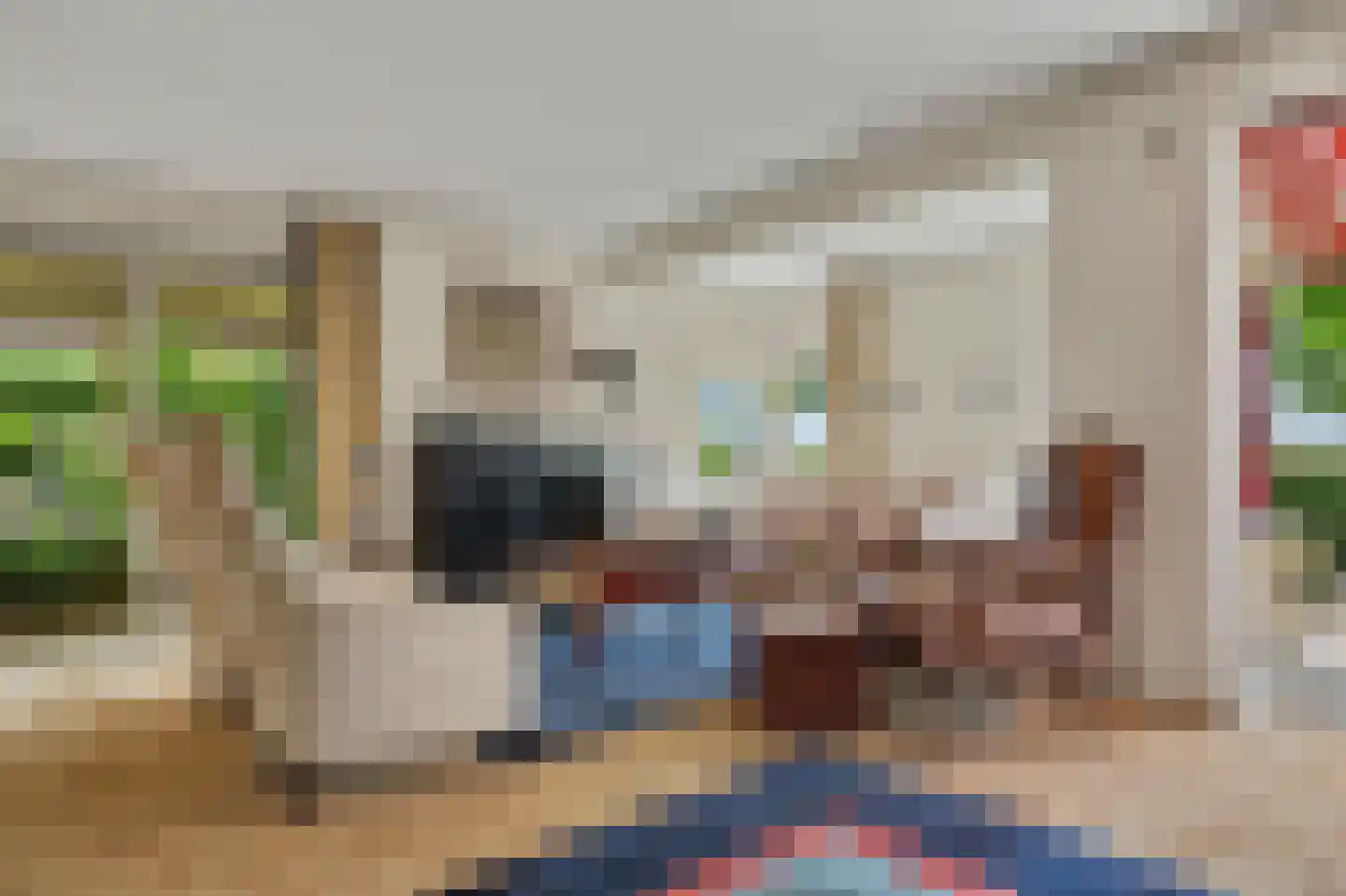 Seggegors 29 Zuid-Beijerland thumbnail 9