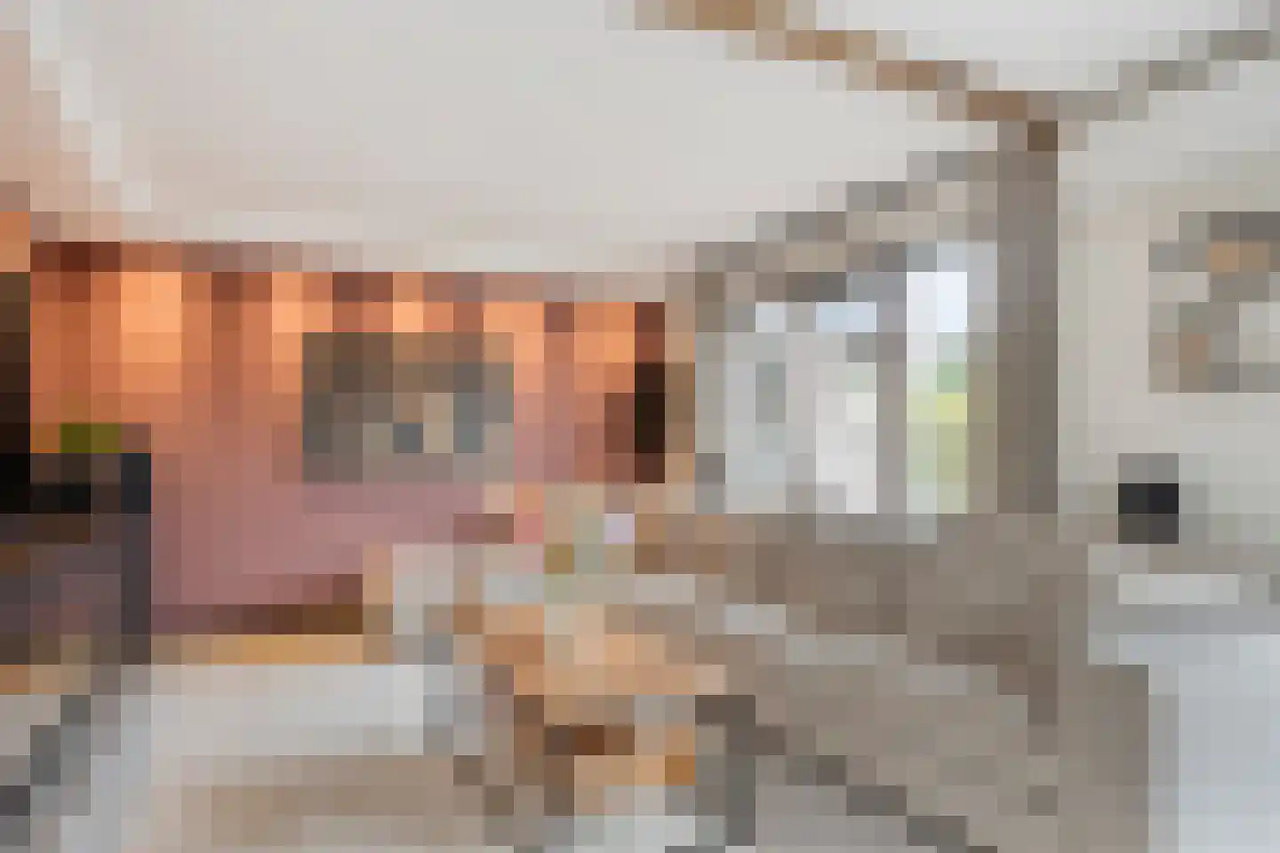 Seggegors 31 Zuid-Beijerland thumbnail 15