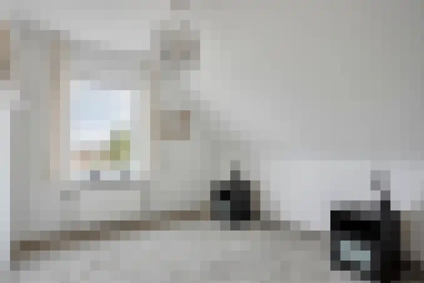 Seggegors 31 Zuid-Beijerland thumbnail 33