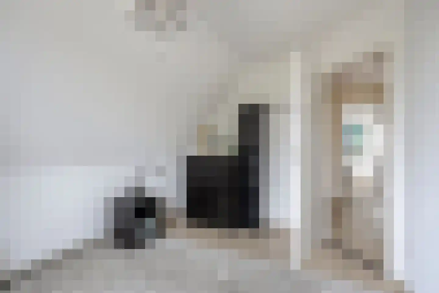 Seggegors 31 Zuid-Beijerland thumbnail 34