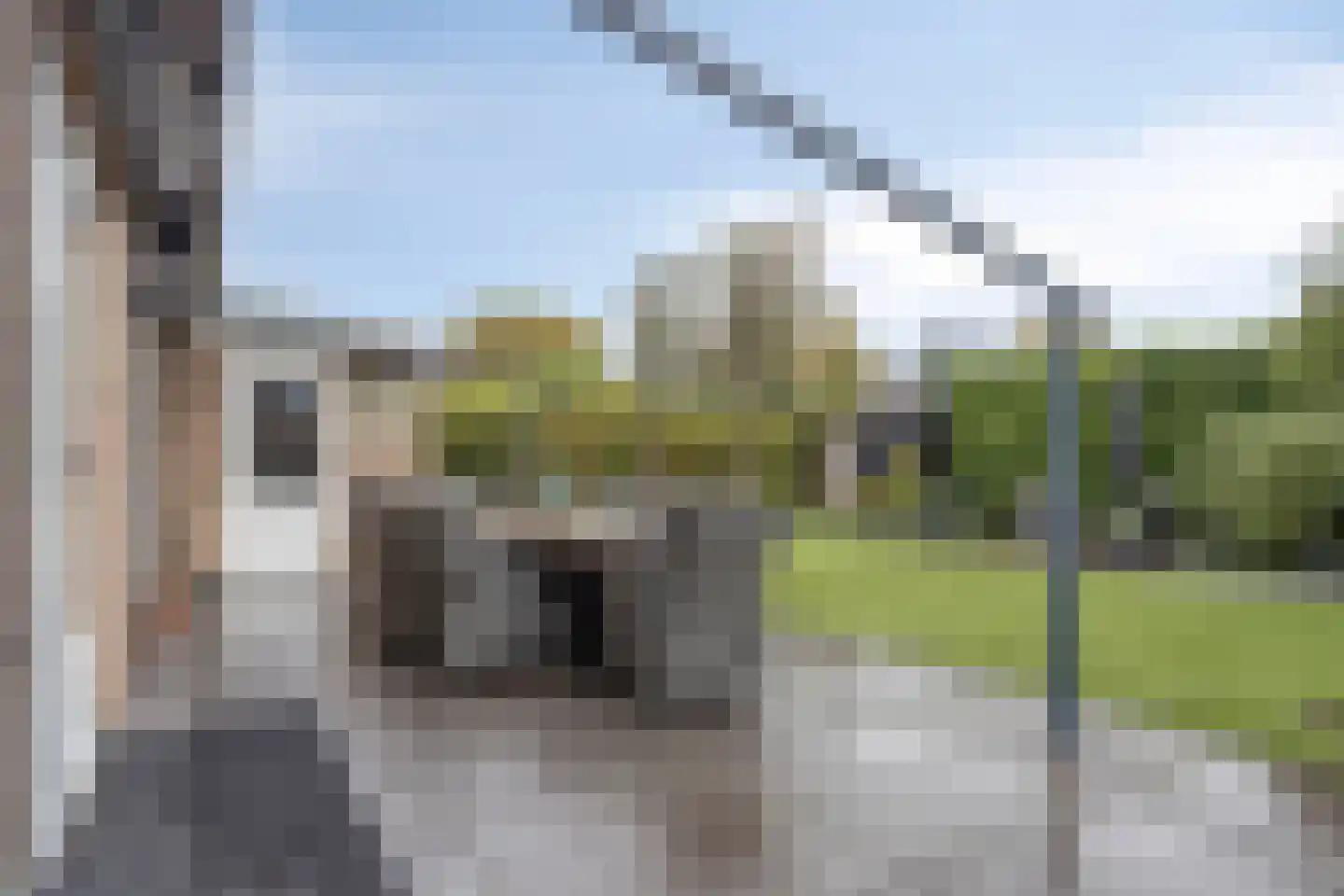 Seggegors 31 Zuid-Beijerland thumbnail 37