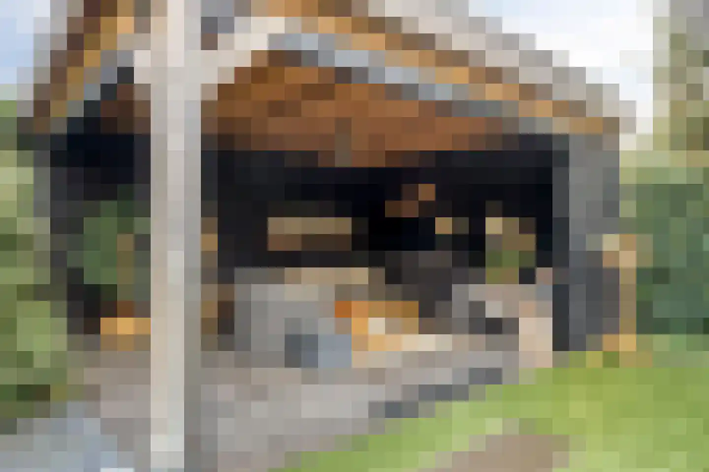 Seggegors 31 Zuid-Beijerland thumbnail 39
