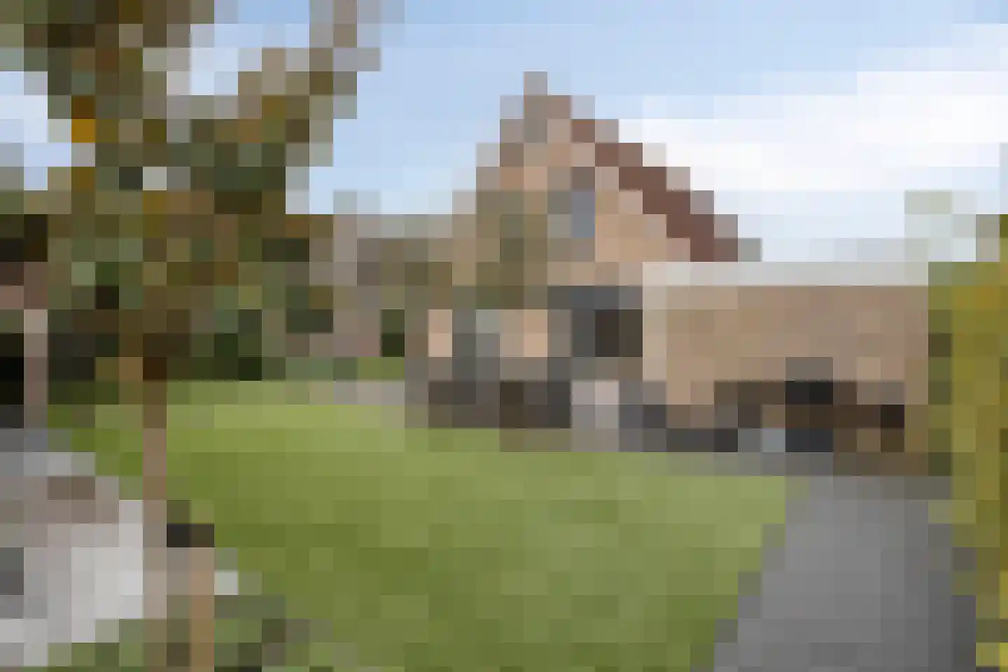 Seggegors 31 Zuid-Beijerland thumbnail 42
