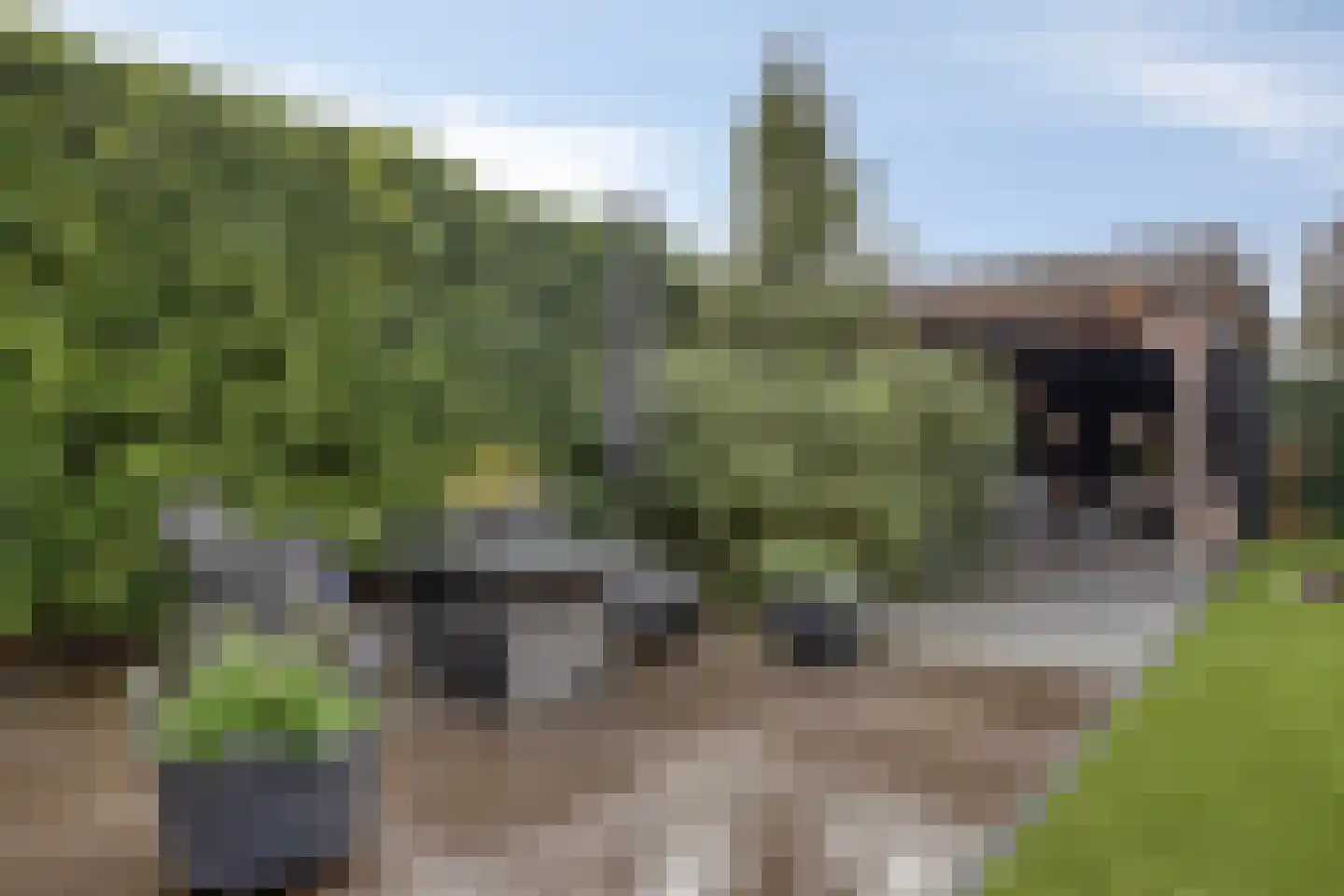 Seggegors 31 Zuid-Beijerland thumbnail 44