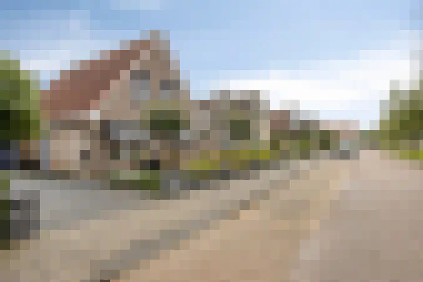Seggegors 31 Zuid-Beijerland thumbnail 49
