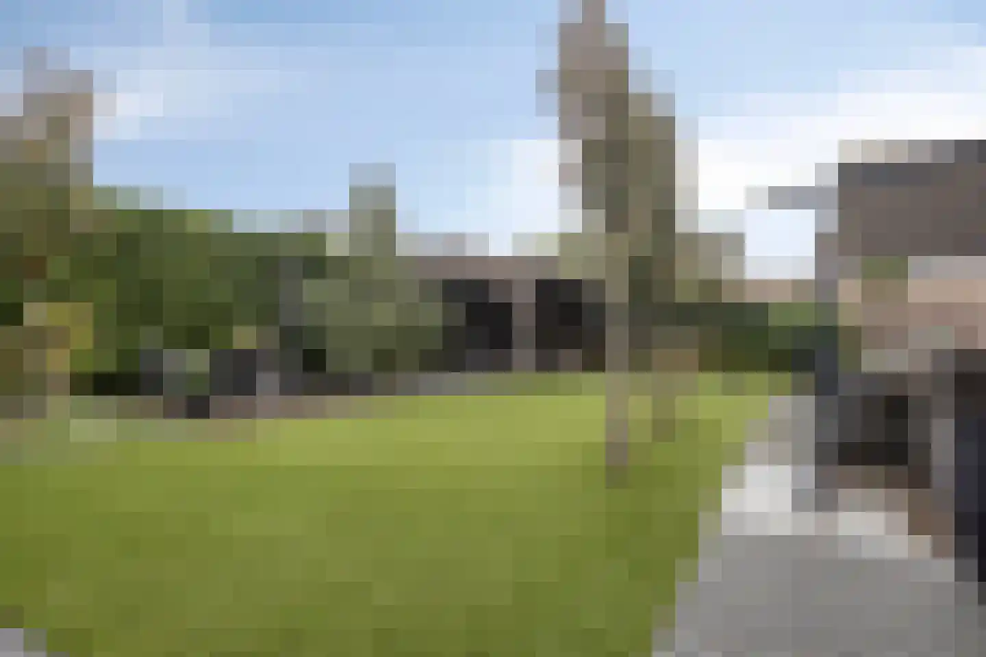 Seggegors 31 Zuid-Beijerland thumbnail 5