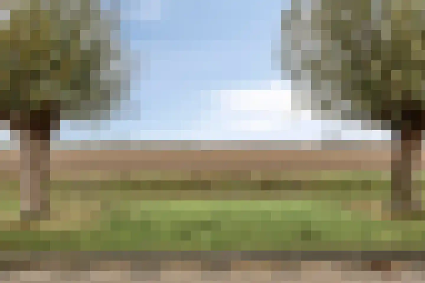 Seggegors 31 Zuid-Beijerland thumbnail 50