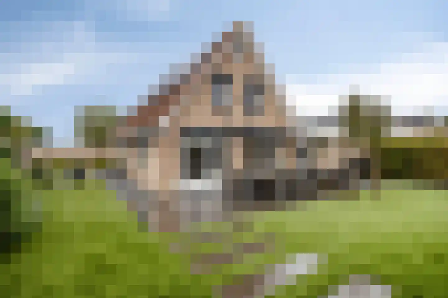Seggegors 31 Zuid-Beijerland thumbnail 6