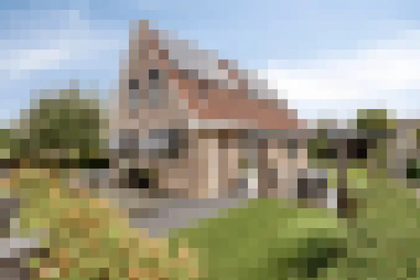Seggegors 31 Zuid-Beijerland thumbnail 8