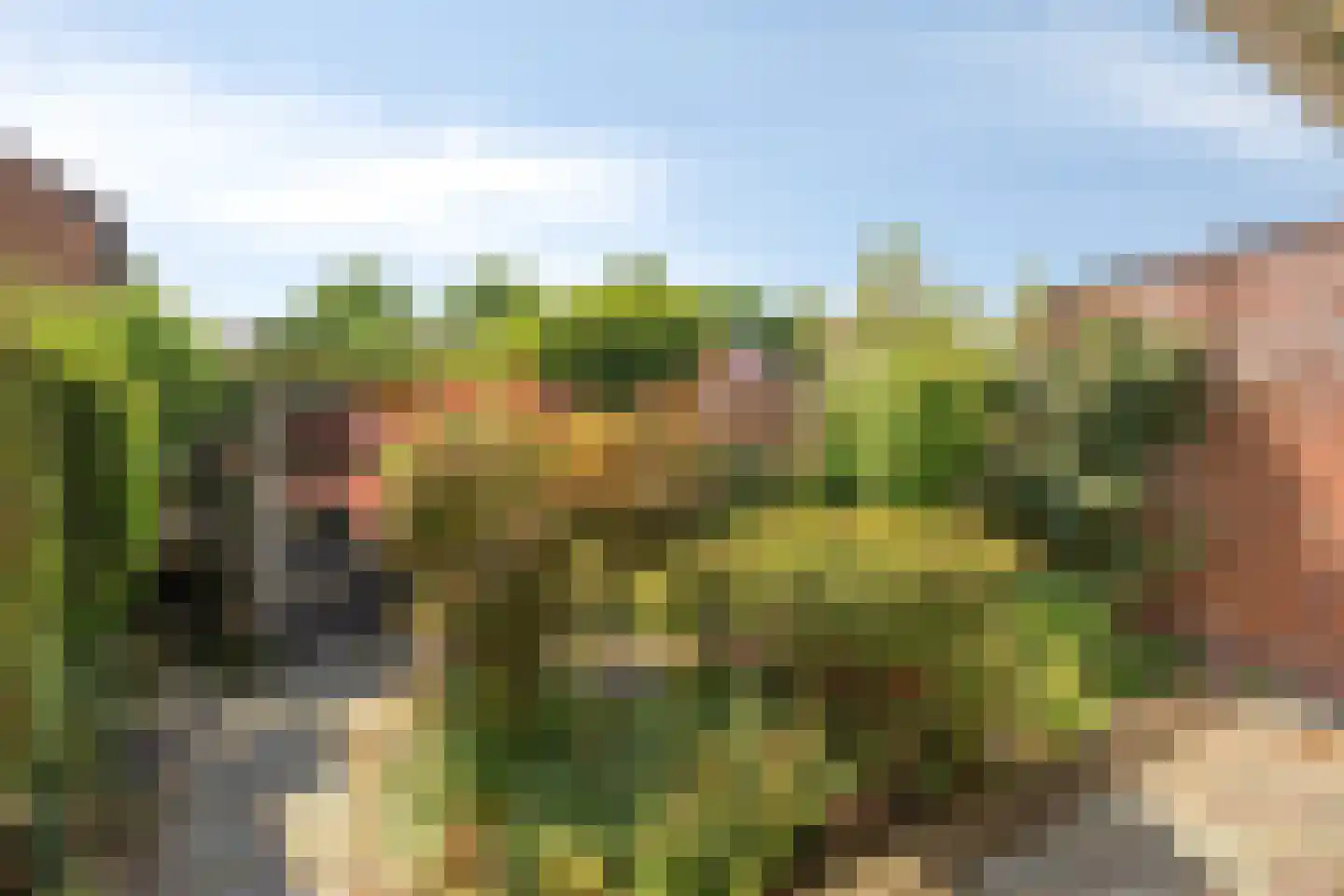 Seghemanstraat 3 Kerkrade thumbnail 5