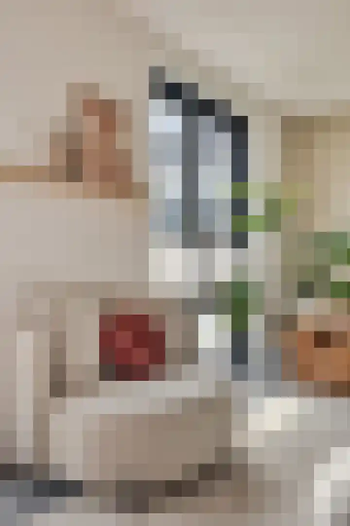 Seginiusstraat 6 Zuidhorn thumbnail 11