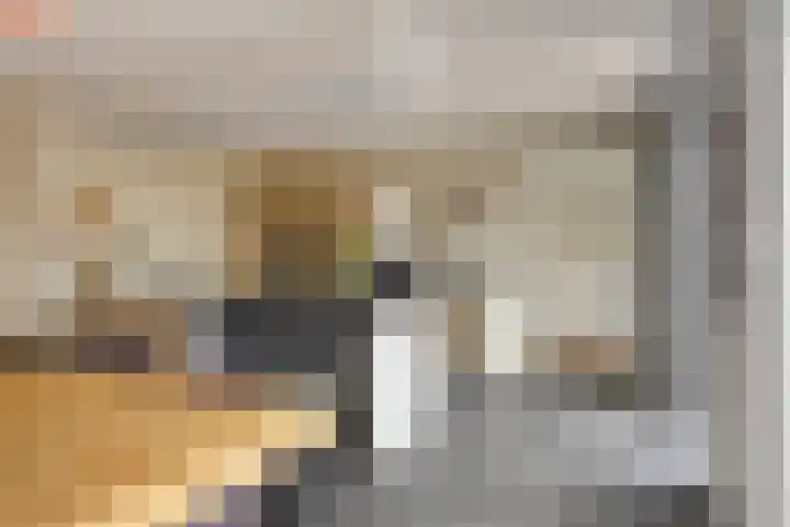 Seginiusstraat 6 Zuidhorn thumbnail 18