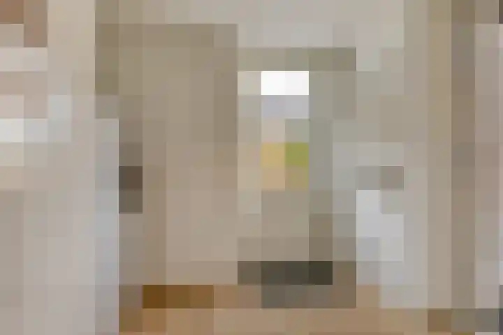 Seginiusstraat 6 Zuidhorn thumbnail 20